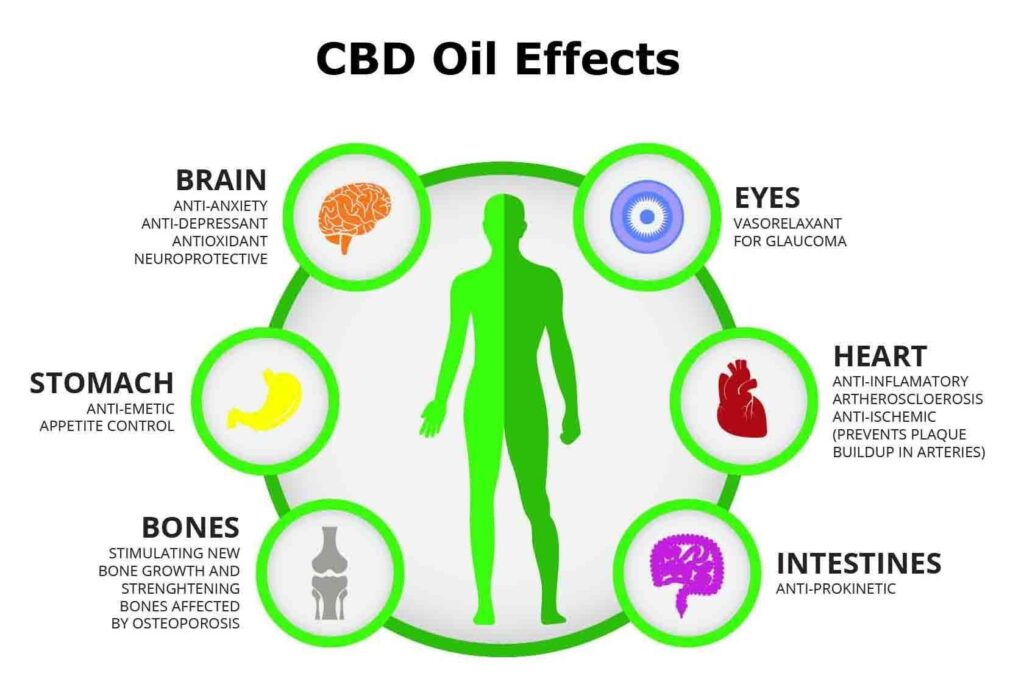 Order Full Spectrum CBD Oil Canada